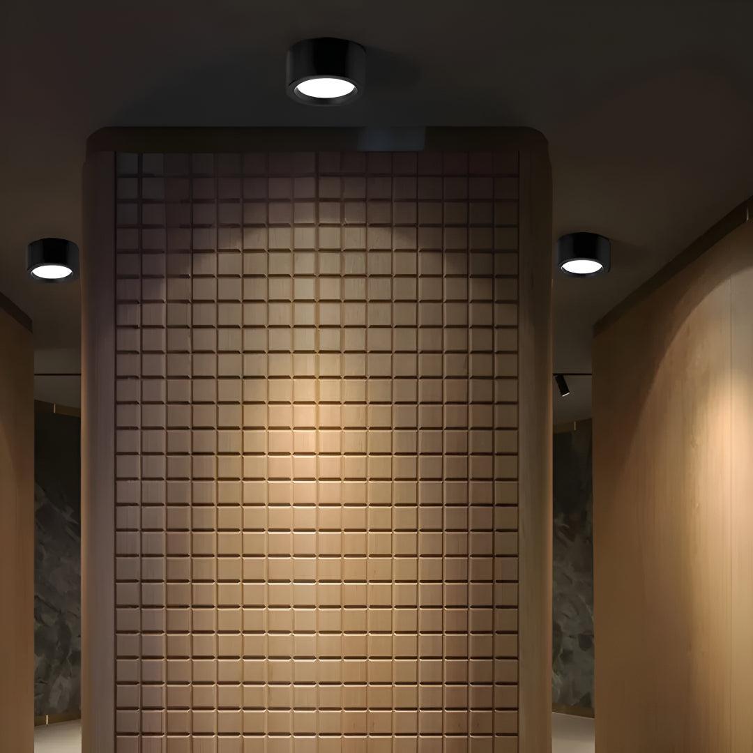 Flush Mount Ceiling Light With Modern Round Design