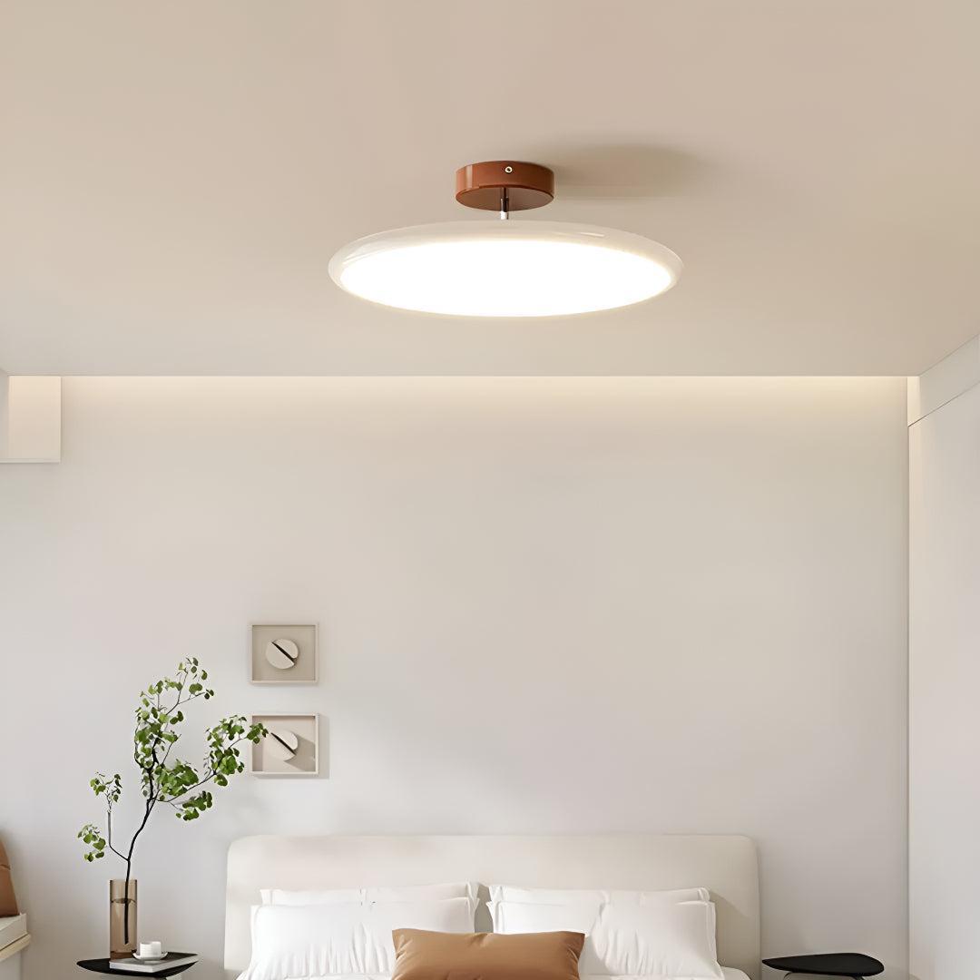 Modern Ceiling Light With Adjustable LED Flush Design