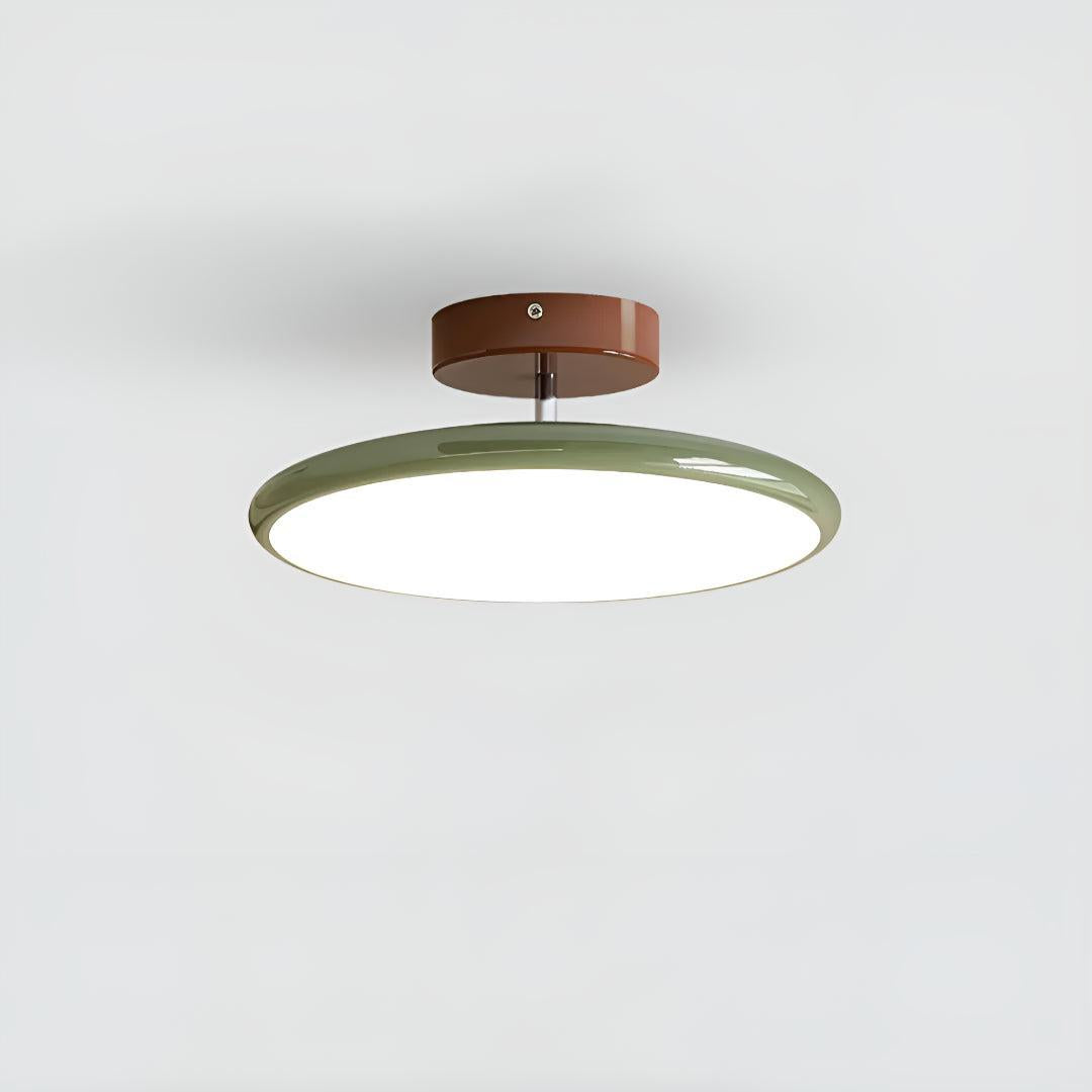Modern Ceiling Light With Adjustable LED Flush Design