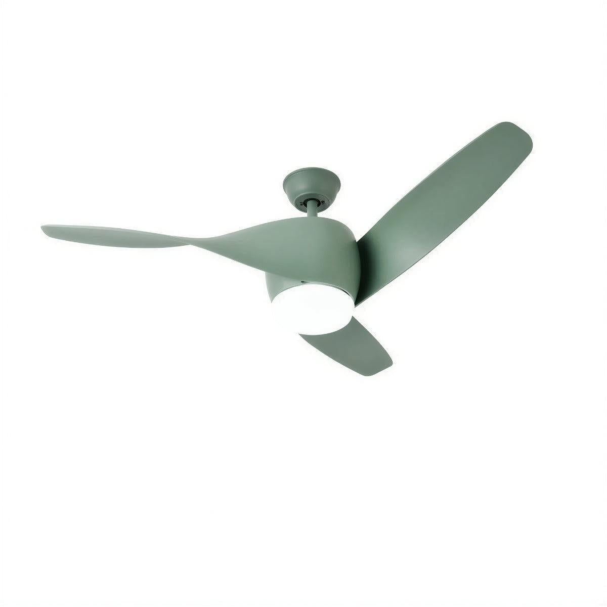 Modern Wooden Ceiling Fan Light And Remote Control Fan and Curved Blades