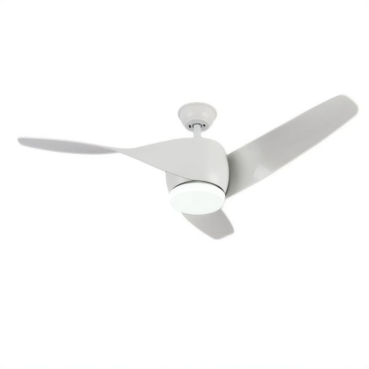Modern Wooden Ceiling Fan Light And Remote Control Fan and Curved Blades