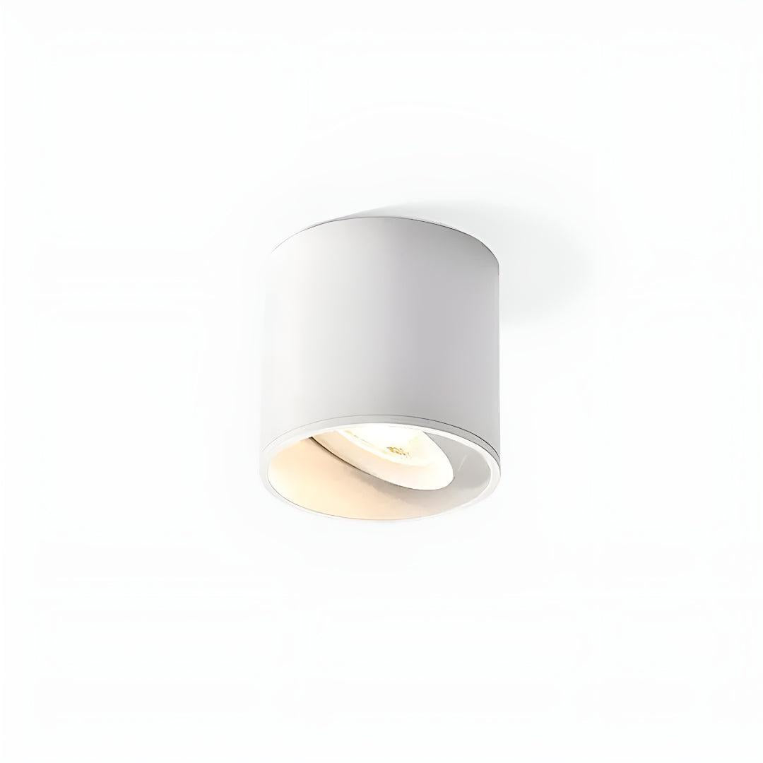 Modupoint Flush Ceiling Light With Modern Spotlight Design
