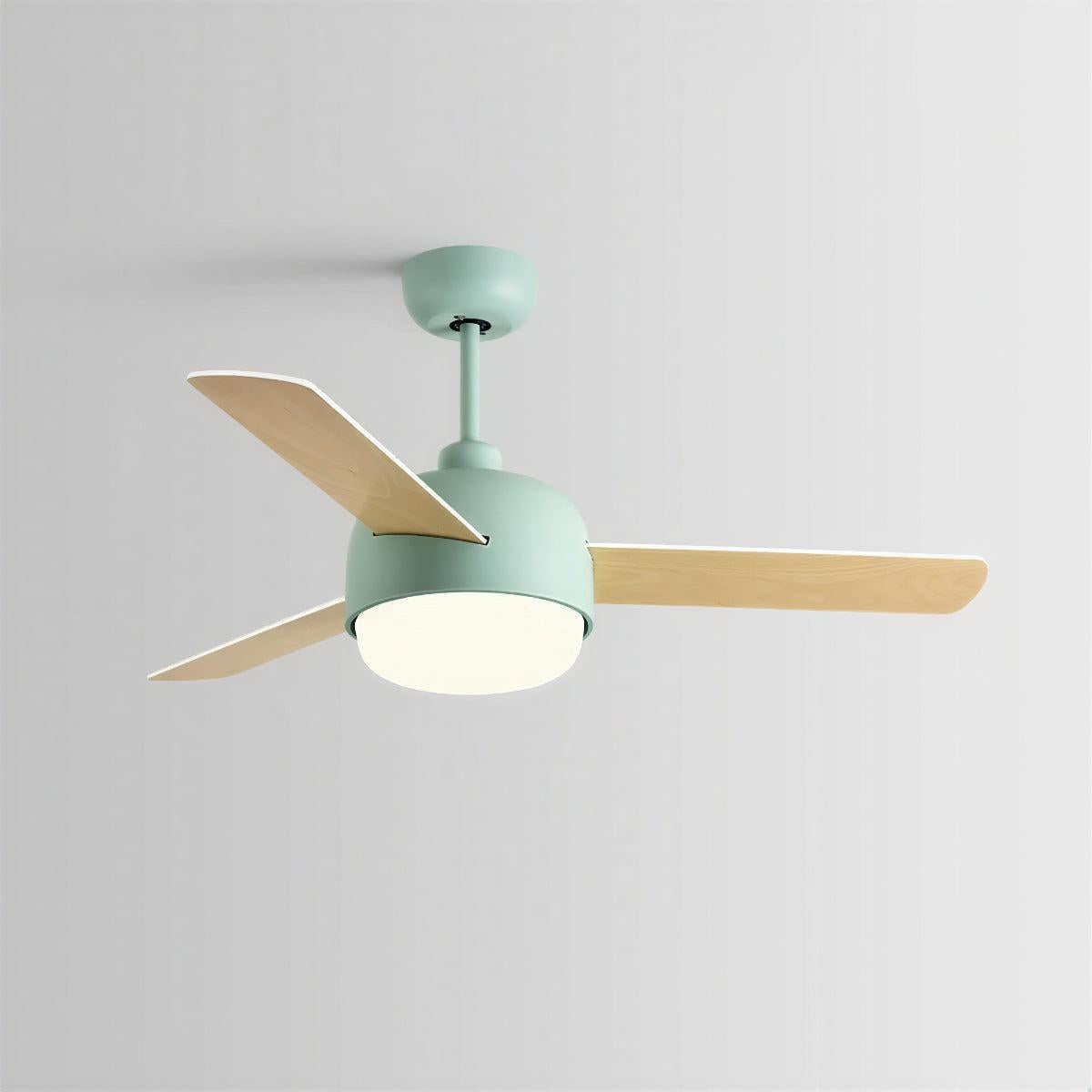 Quiet Nordic Ceiling Fan Light With Remote Control