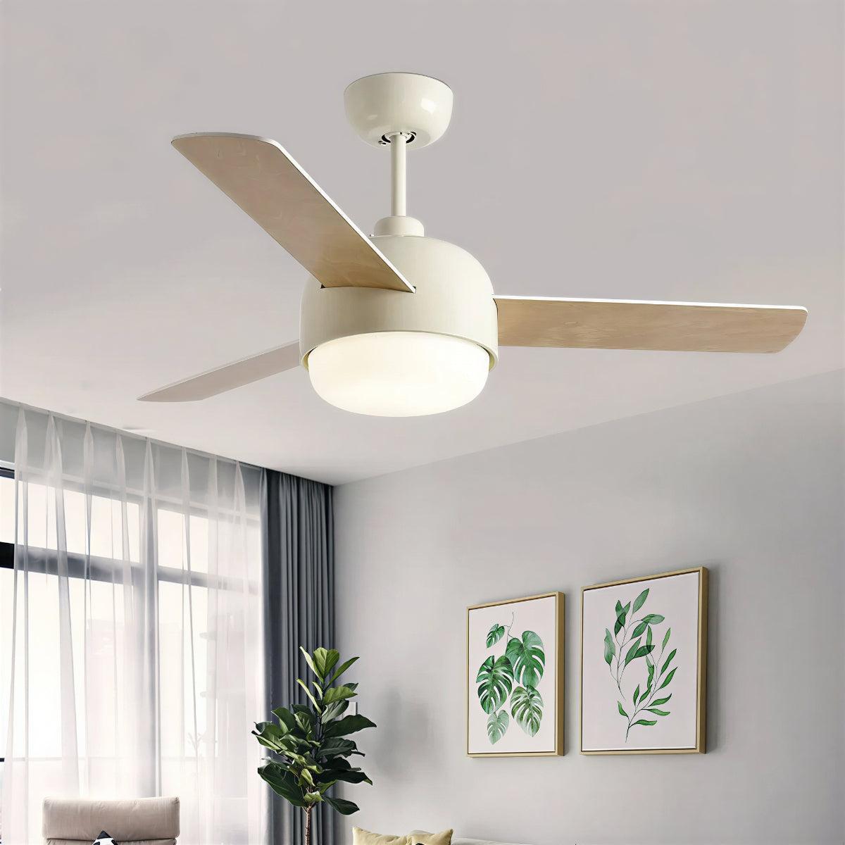 Quiet Nordic Ceiling Fan Light With Remote Control