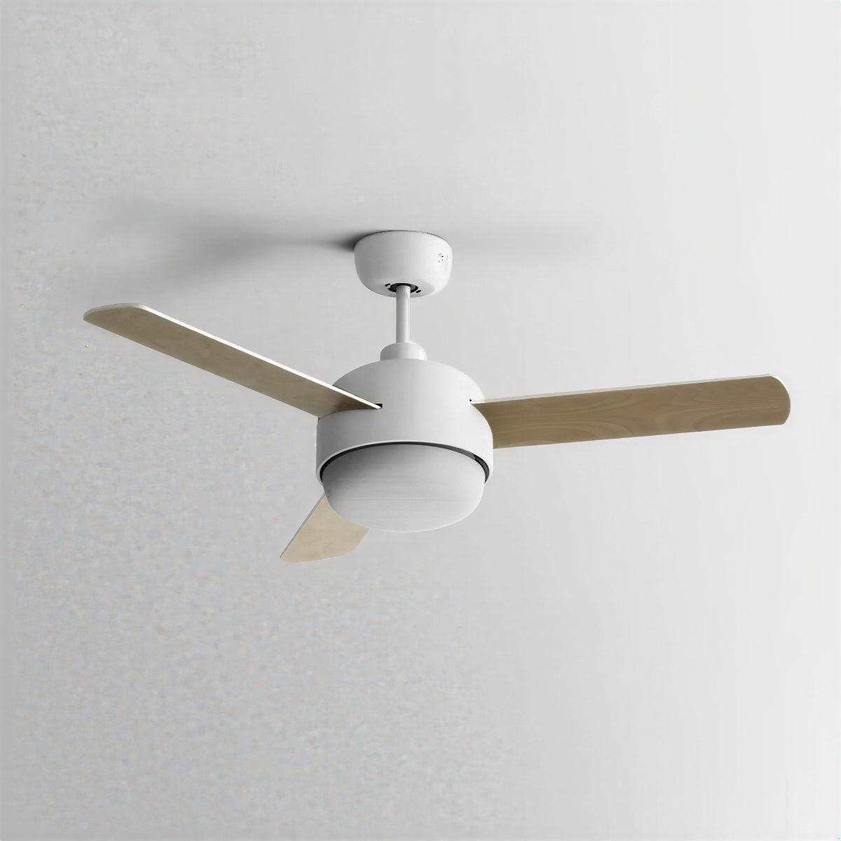 Quiet Nordic Ceiling Fan Light With Remote Control