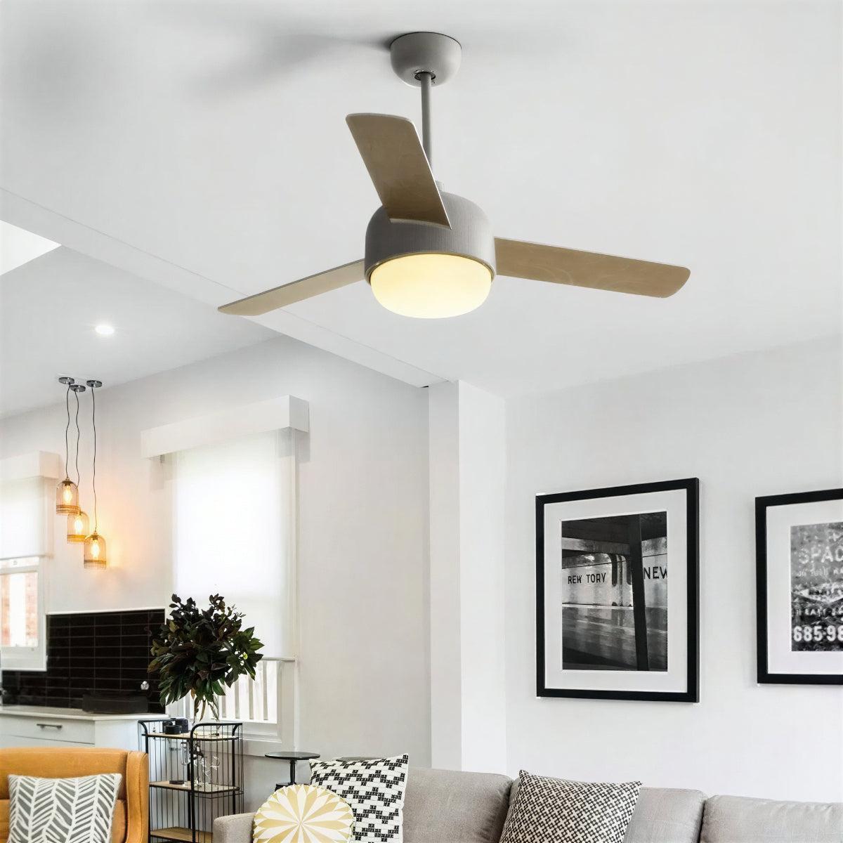 Quiet Nordic Ceiling Fan Light With Remote Control