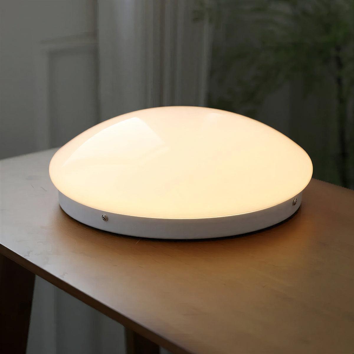 Circular Flush Mount Ceiling Light With Glass Dome