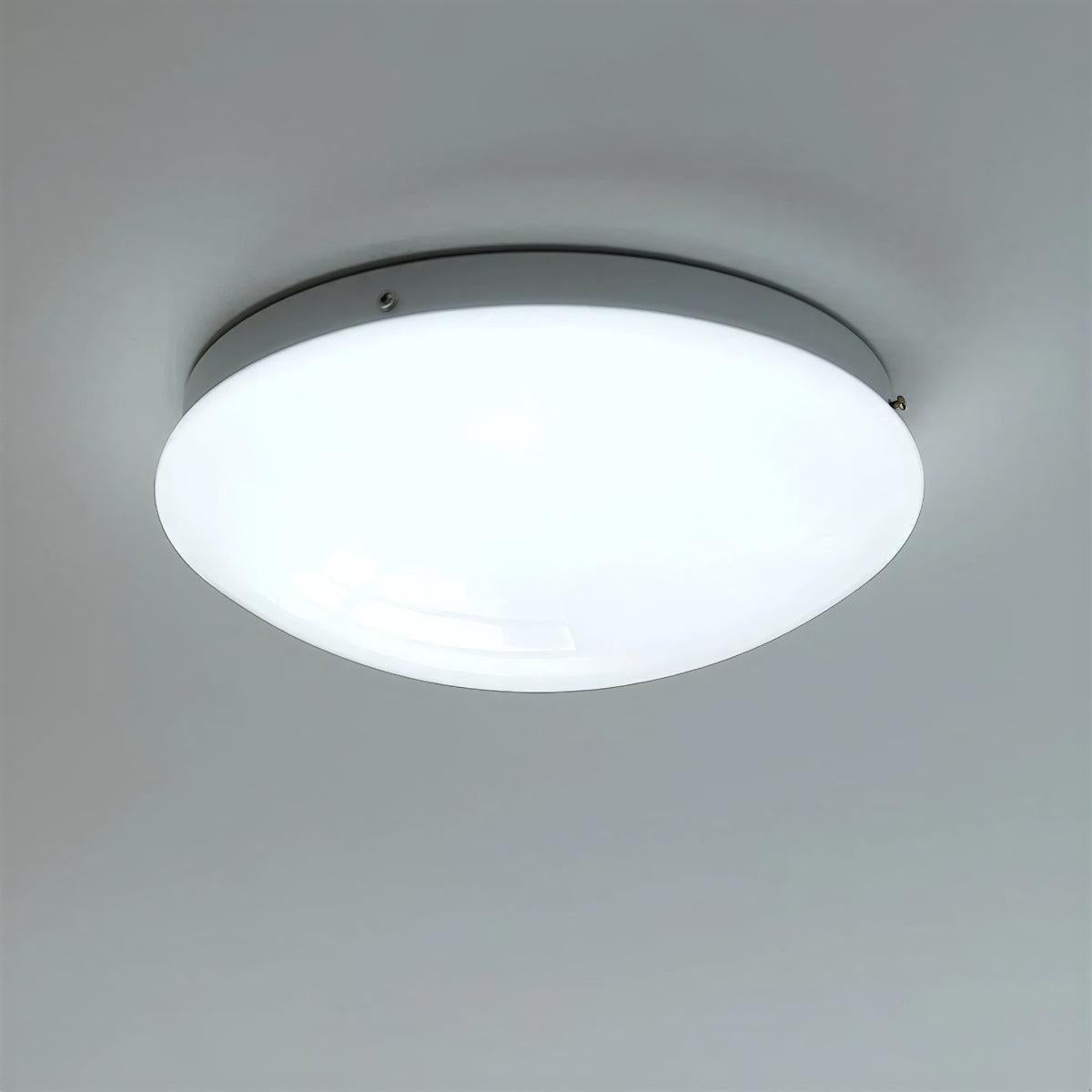 Circular Flush Mount Ceiling Light With Glass Dome
