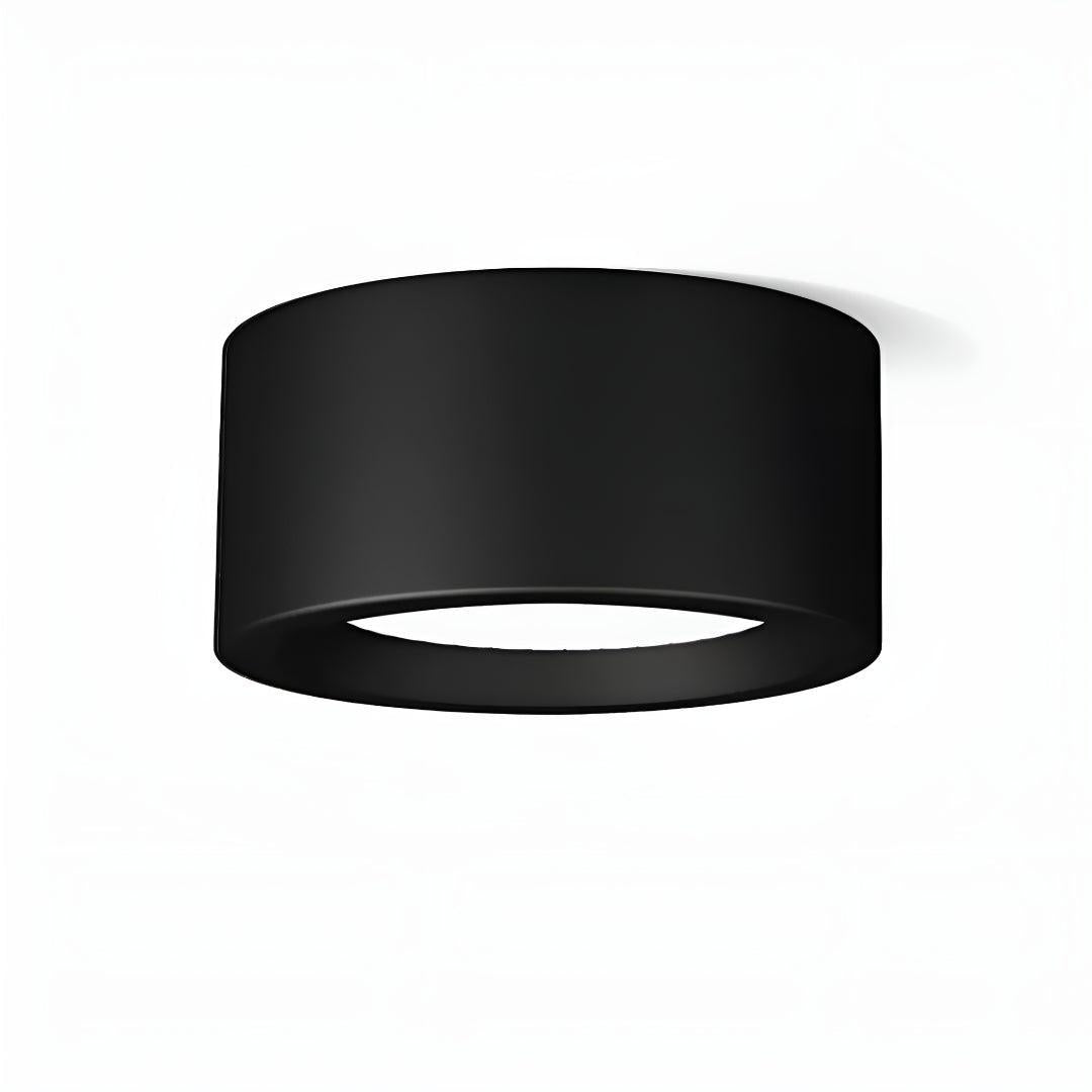 Flush Mount Ceiling Light With Modern Round Design