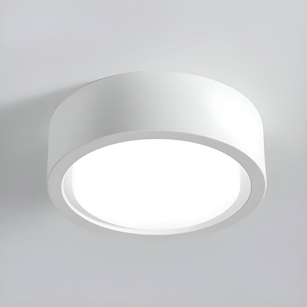 Flush Mount Ceiling Light With Modern Round Design
