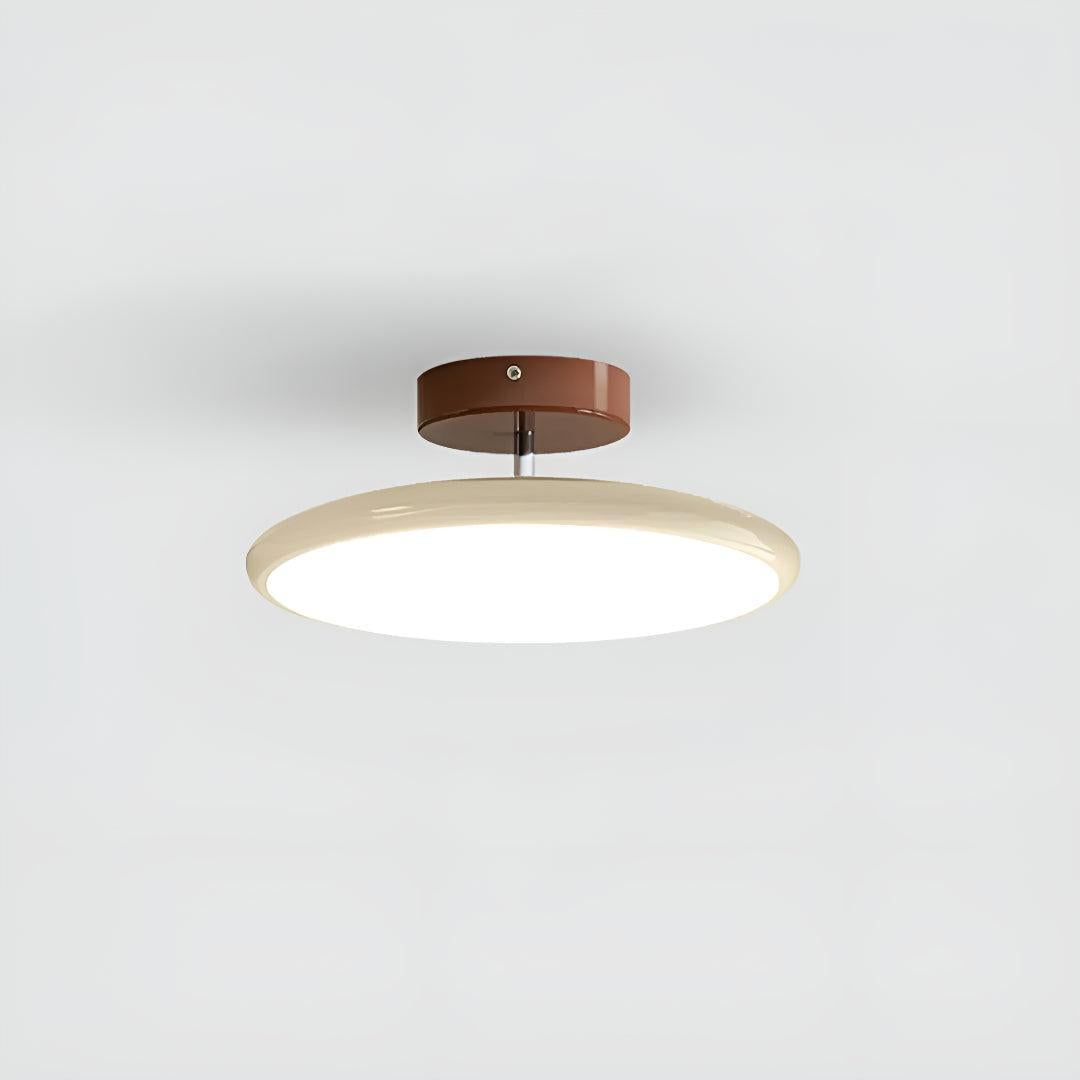 Modern Ceiling Light With Adjustable LED Flush Design