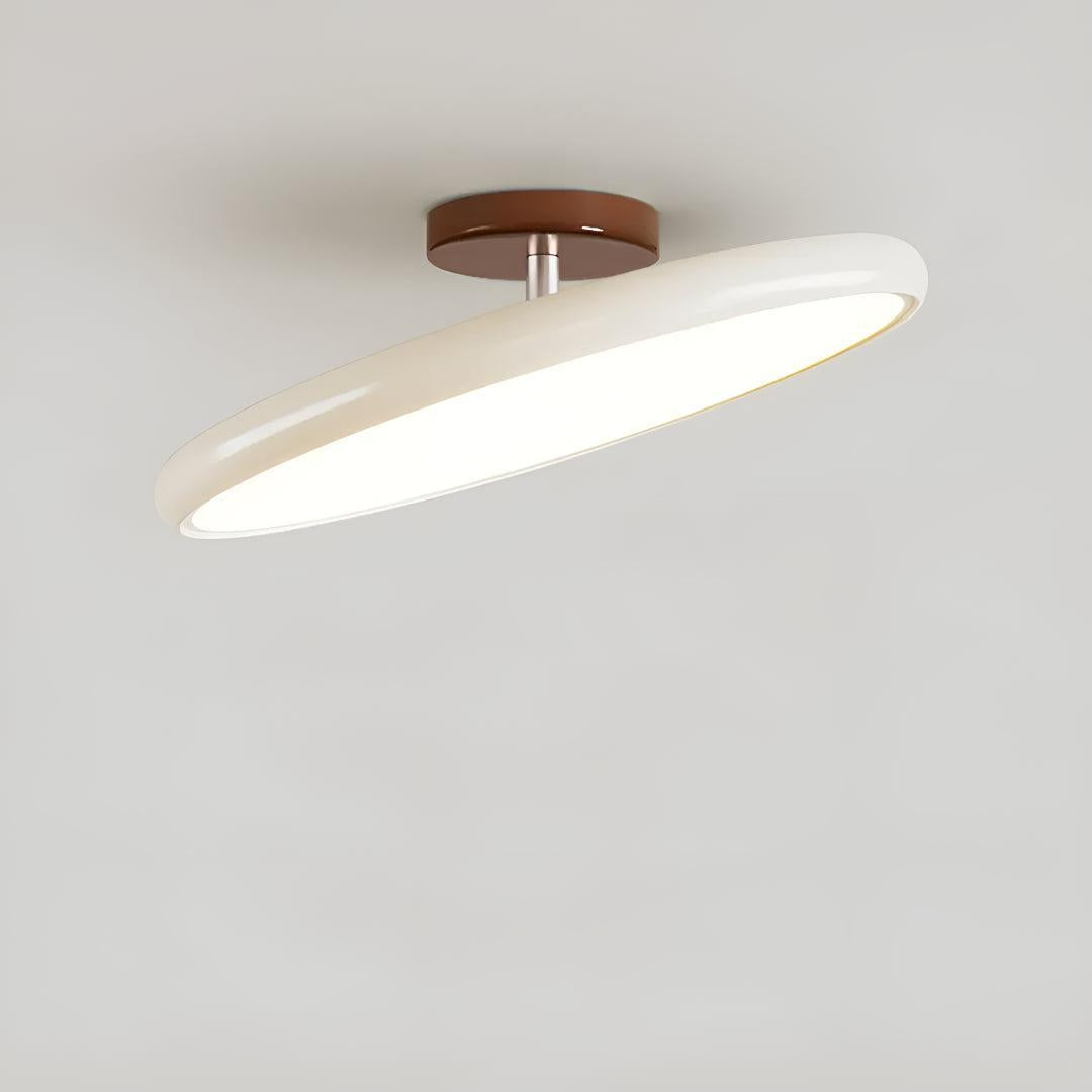 Modern Ceiling Light With Adjustable LED Flush Design