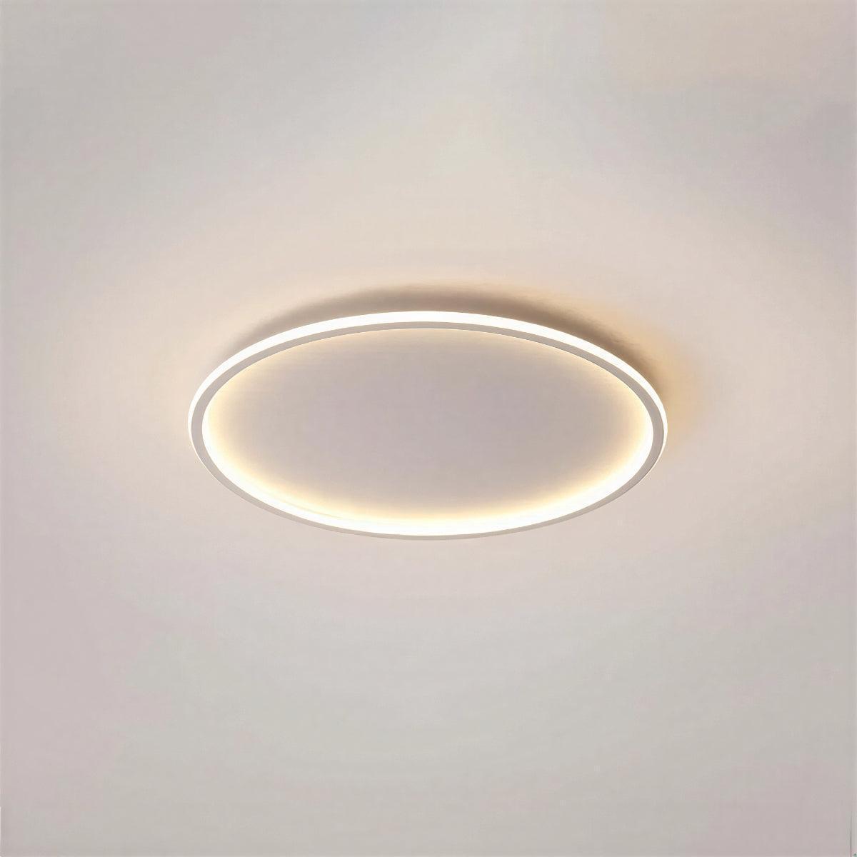 Modern Circular Round Ceiling Lights With Flush Mount Fitting
