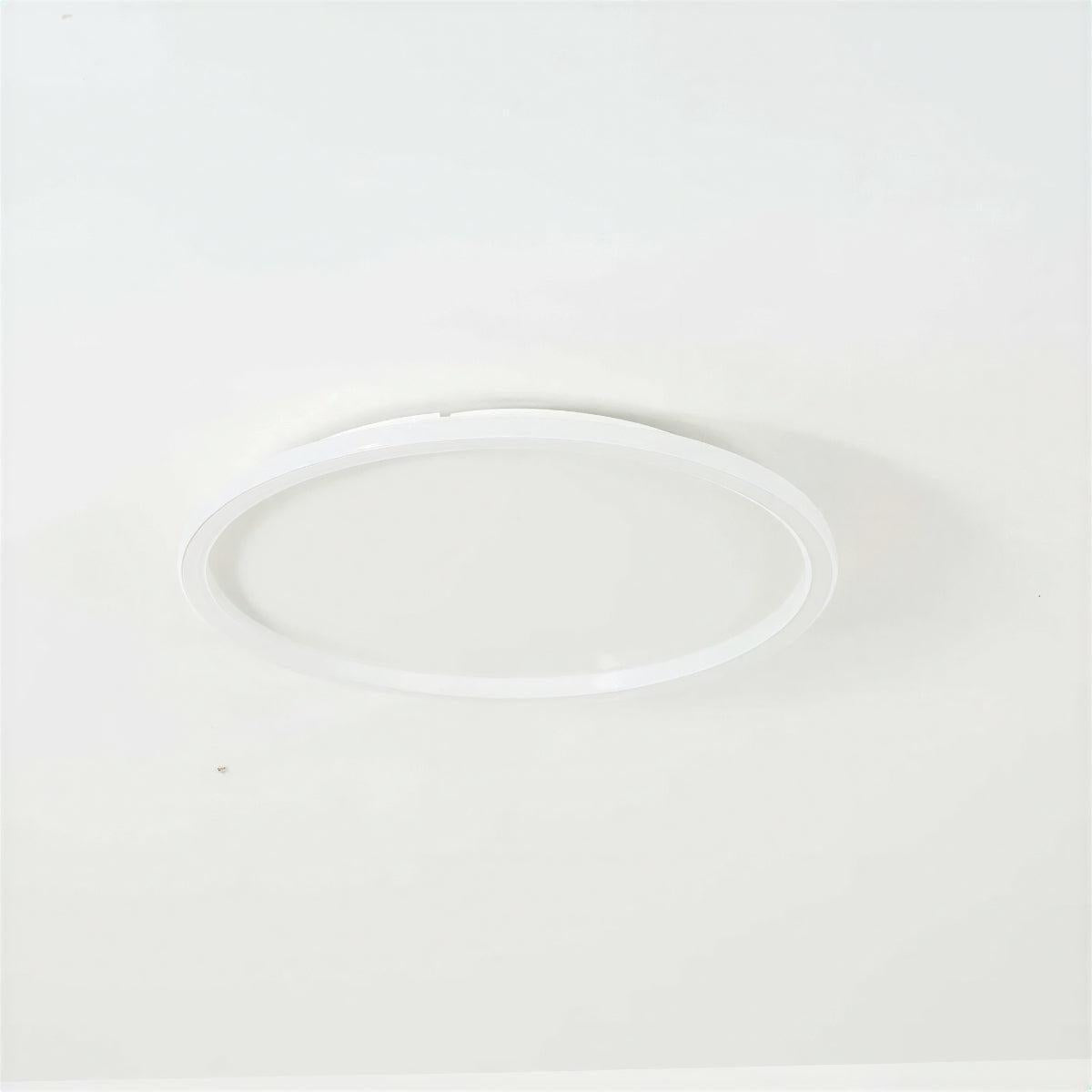 Modern Circular Round Ceiling Lights With Flush Mount Fitting