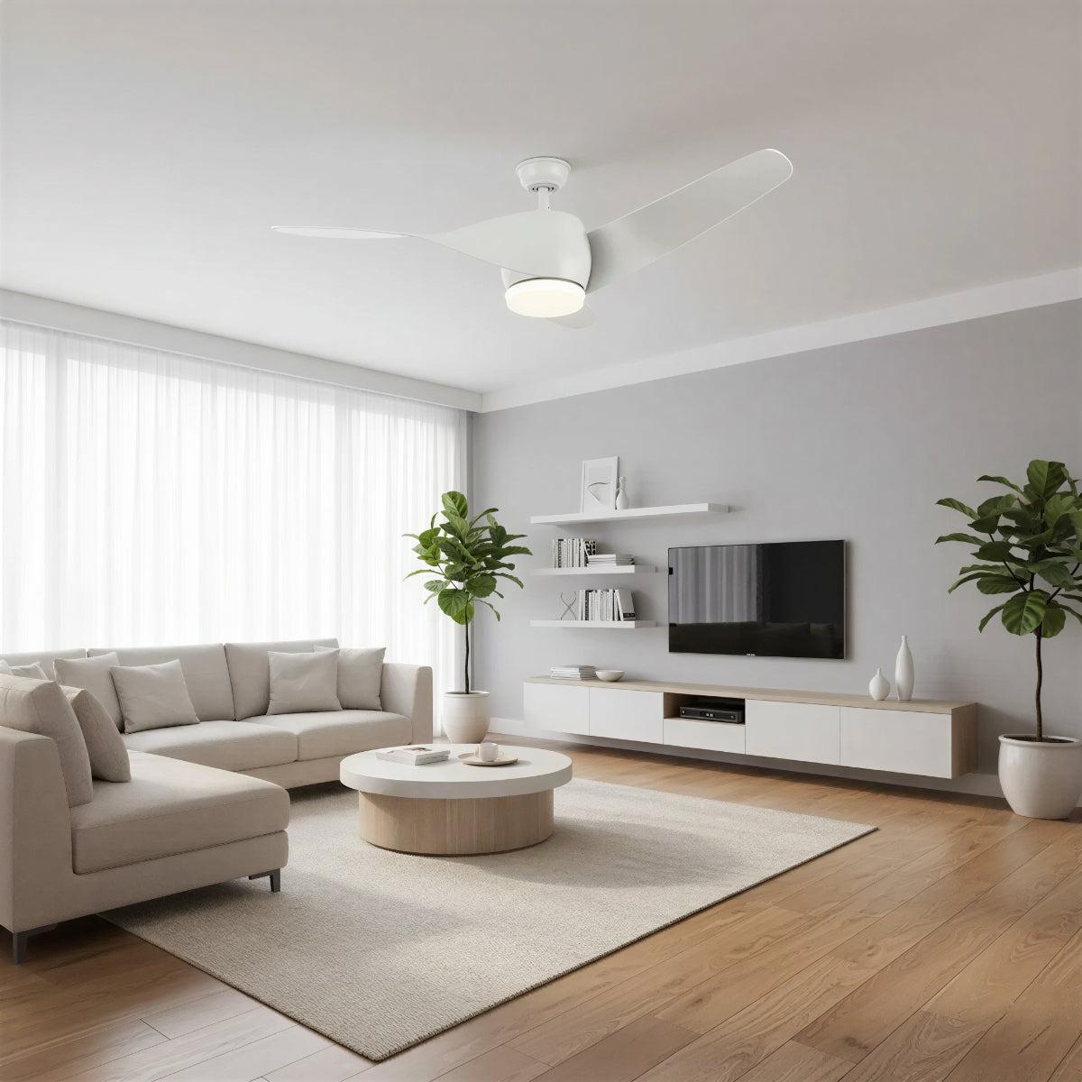 Modern Wooden Ceiling Fan Light And Remote Control Fan and Curved Blades