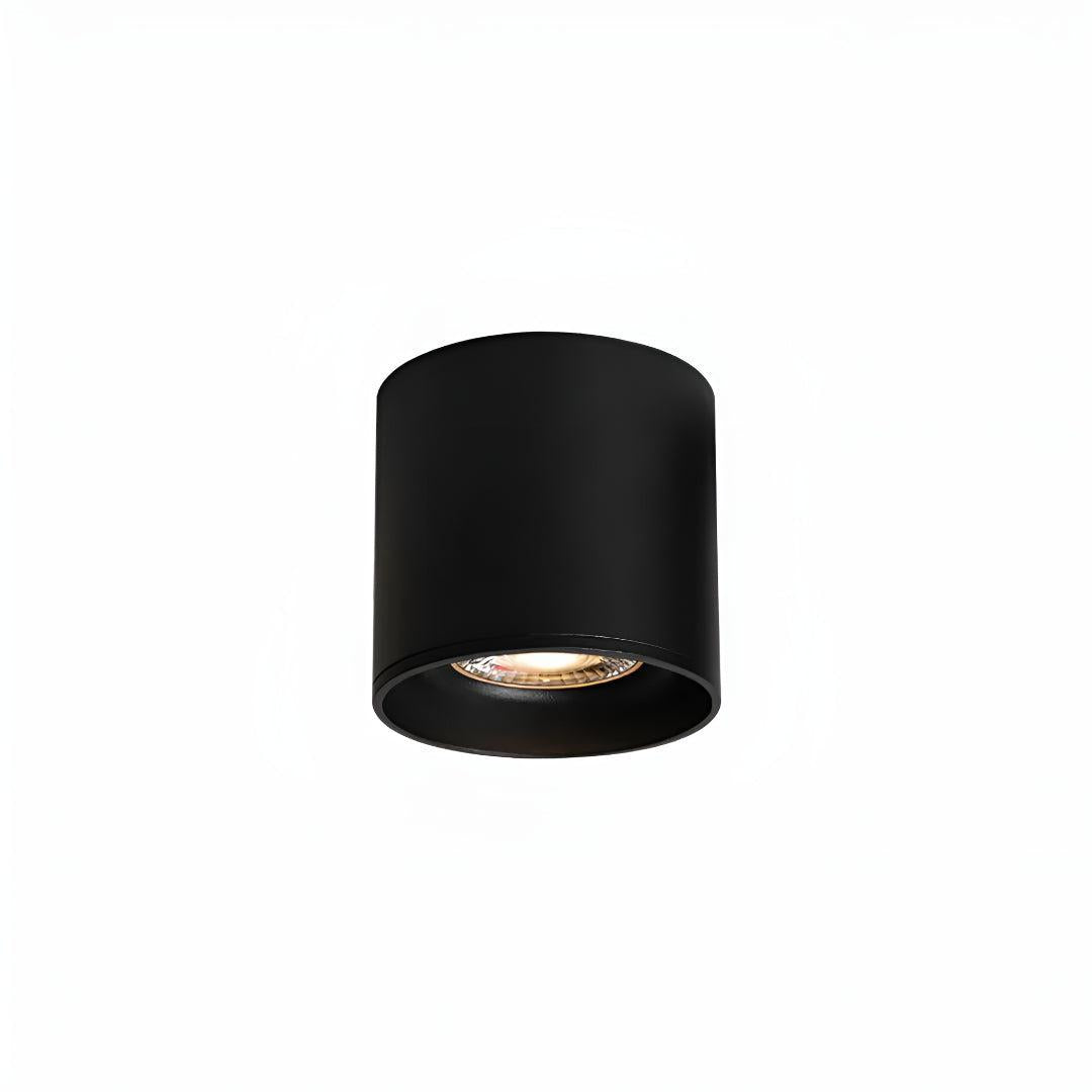 Modupoint Flush Ceiling Light With Modern Spotlight Design