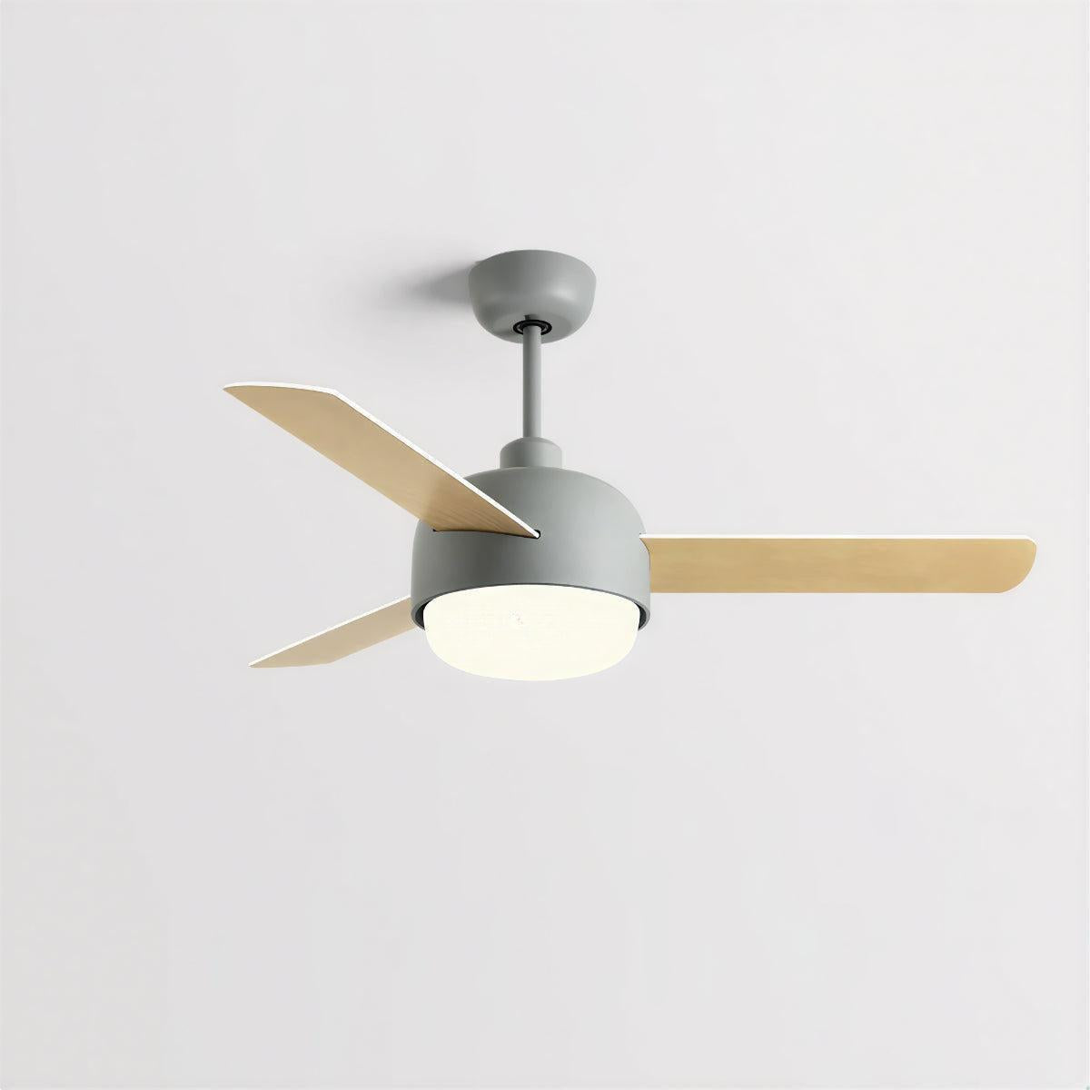 Quiet Nordic Ceiling Fan Light With Remote Control